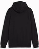 Bluza PUMA Essentials F1 Logo Hoodie - Black