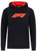 F1 Tech Collection Kids Large Logo Hooded Sweat 