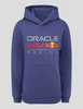 Red Bull Racing F1 Kid's Essential Hoodie - Skipper Blue