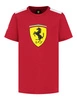 Koszulka dziecięca Scuderia Ferrari F1 Large Shield - Dark Cherry