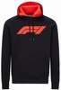 F1 Tech Collection Men's Large Logo Hooded Sweatshirt