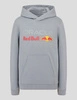 Bluza dziecięca Red Bull Racing F1 - Gray