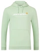 Bluza McLaren F1 Team Core Essentials Hoodie - Smoke Green
