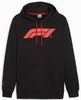 Bluza PUMA Essentials F1 Logo Hoodie - Black