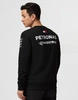 Mercedes AMG Petronas F1 2023 Men's Team Sweatshirt
