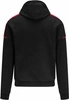 Bluza Porsche Motorsport Logo Hooded Sweat