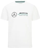 Mercedes AMG Petronas F1 Large Logo Men's T-Shirt