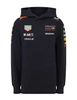 Red Bull Racing F1 Kid's 2025 Pullover Hoodie - Navy