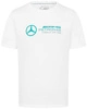 Koszulka Mercedes AMG Petronas F1 Team Large Logo