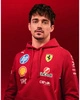 Scuderia Ferrari F1 Men's 2025 Team Hoodie - Dark Cherry